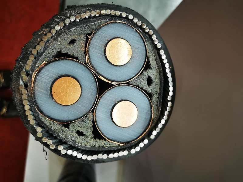 ߵҵչ   66moŹʵÿһƷ