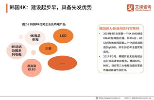 艾媒报告 2019中国4K产业研究与商业投资决策分析报告